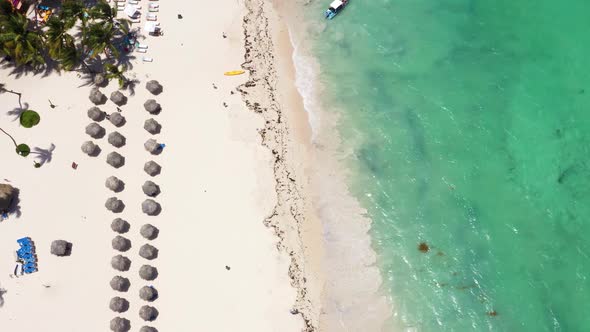 Tropical Beach with Coconut Palm Trees and Resort Area