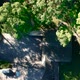 Trees and Suburban House Aerial View - VideoHive Item for Sale