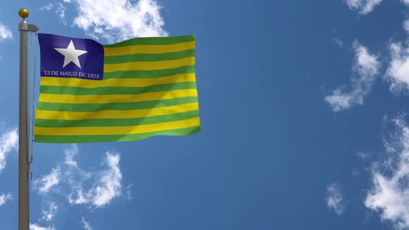 Piaui Flag (Brazil) On Flagpole