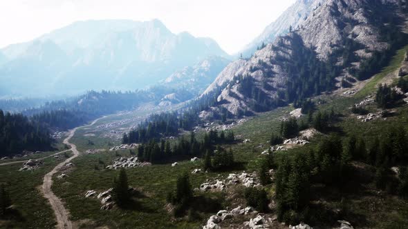 Winding Road in the Mountains with Pine Forest