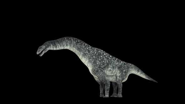 Titanosaurus Dinosaur 4K