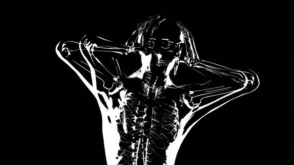 Grunge Black And White Glitch Effect Human Skeleton 4K