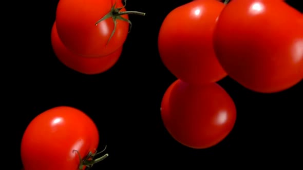 Tomatoes Are Flying Down on a Black Background