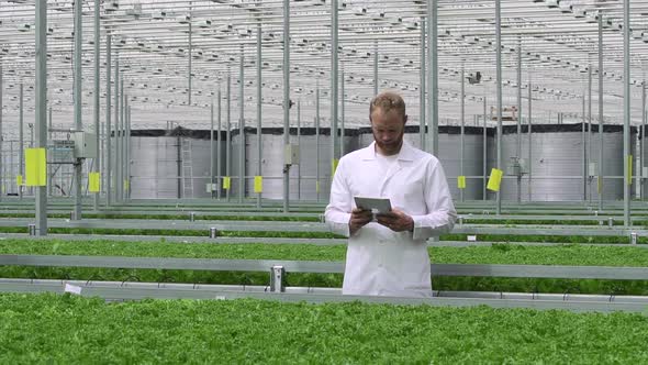 In Greenhouse Scientist on Tablet Analyzes Growth of Agricultural Plants Spbd