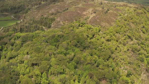 Aerial diving shot of Knockomagh Wood. From wide overall view to narrow search in trees.