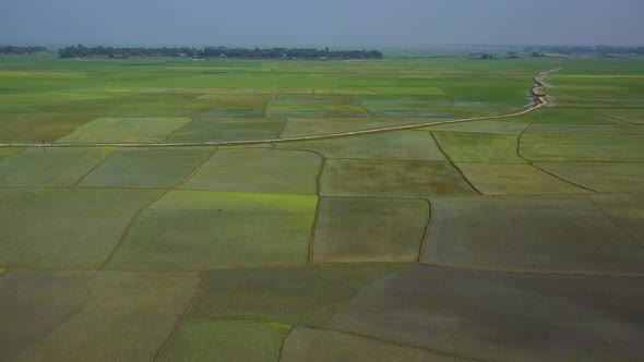 Aerial view of agricultural field in Sapahar, Rajshahi state, Bangladesh.