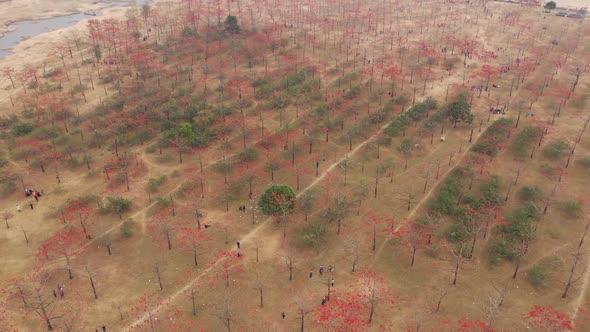 Aerial view of people in a countryside field, Dhaka, Bangladesh.