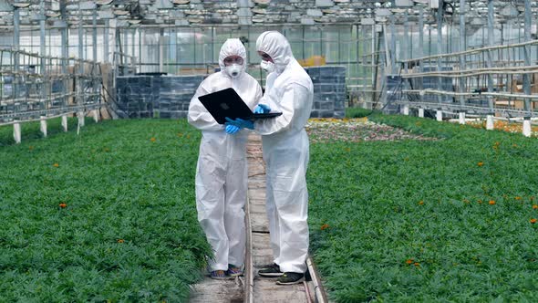 Two Chemists Are Among the Plants with a Laptop