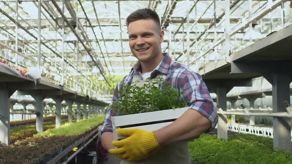 Smiling Farmer Holding Box With Plants and Looking to Cam, Successful Business