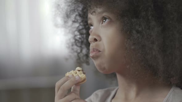 Little black-haired child chewing tasty cookie with appetite, unhealthy food