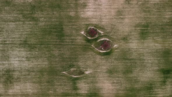 Aerial View on Green Wheat Field with Power Pylons in Countryside