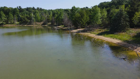 Dead trees in the shoreline of a man made lake.