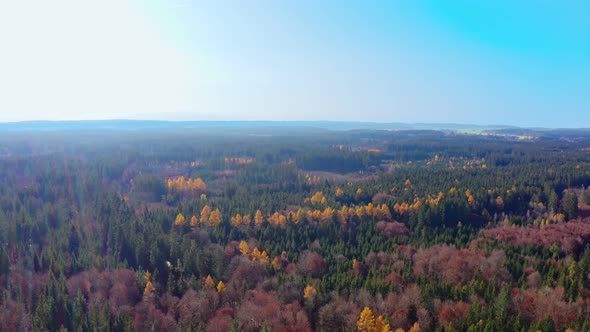 Top down shot from a orange and green colored forest at the fall season while the sun is shining bri