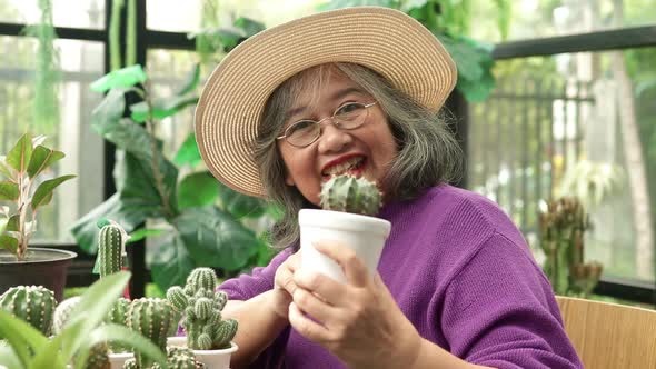 Asian elderly woman at home She smiles happily to be able to plant trees