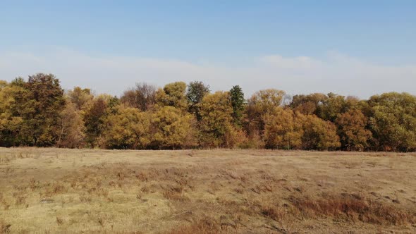 Drone Shooting  Autumn Landscape of Outskirts of a Village in Russia