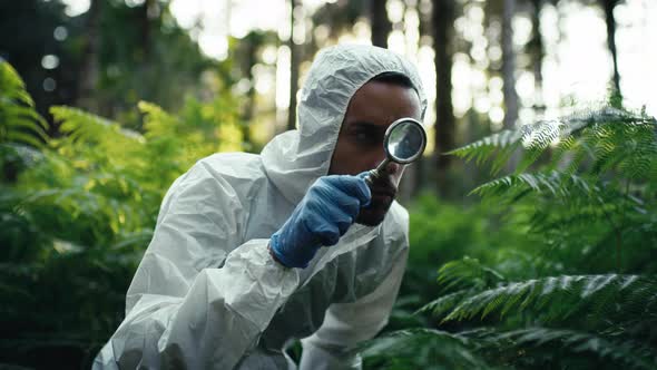 Botany Study of Plants in the Rainforest