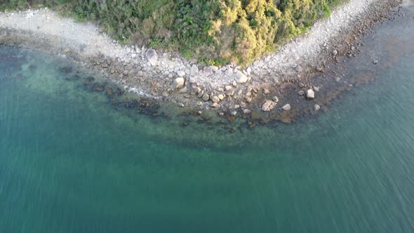 footage of beach sea forest