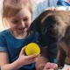 Girl holding out ball to puppy - VideoHive Item for Sale