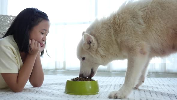 Cute Asian Girl Feeding White Siberian Husky Dog