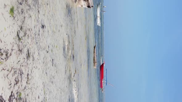 Vertical Video of Low Tide in the Ocean Near the Coast of Zanzibar Tanzania Aerial View