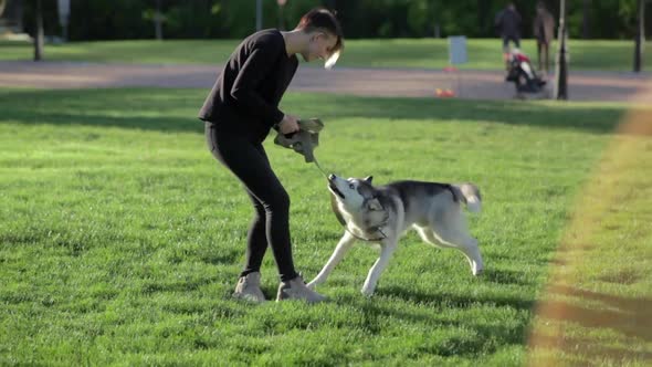 Beautiful Young Woman Playing with Funny Husky Dog Outdoors in Park at Sunset or Sunrise on Green