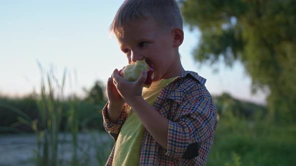 Lifestyle Adorable Little Male Child Enjoying Juicy Ripe Apple While Walking By River on Warm Summer