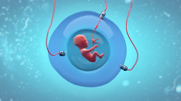 Fetus Development In An Artificial Gestational Sac