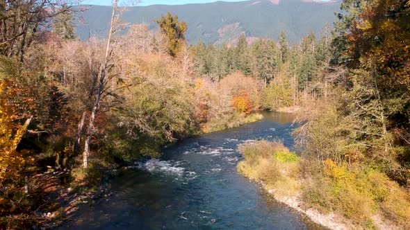 drone shot over river in autumn