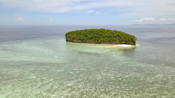 Flight to a Tropical Island