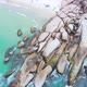Praia Mole Beach, Atlantic Ocean (Florianopolis, Santa Catarina, Brazil) Aerial View, Drone Footage - VideoHive Item for Sale