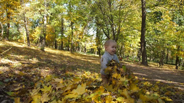 Sweet Toddler Boy Having Fun with Autumn Leaves