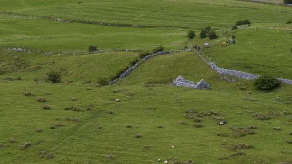 Time lapse of rural agricultural nature landscape during the day in Ireland.