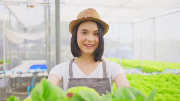 Asian woman farmer owner working in hydroponic farm, hold vegetables box and looking at camera.