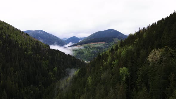 Ukraine, Carpathian Mountains: Beautiful Mountain Forest Landscape. Aerial