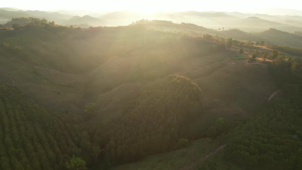 4K aerial view from a drone flying over the valley, fog in the morning.