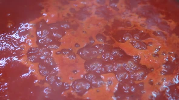 Stew Red Tomato Sauce Closeup