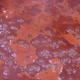 Stew Red Tomato Sauce Closeup - VideoHive Item for Sale