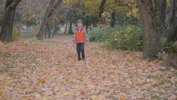 Boy Runs Through the Fallen Leaves Shuffling His Feet, Lifting the Autumn Leaves To the Top.