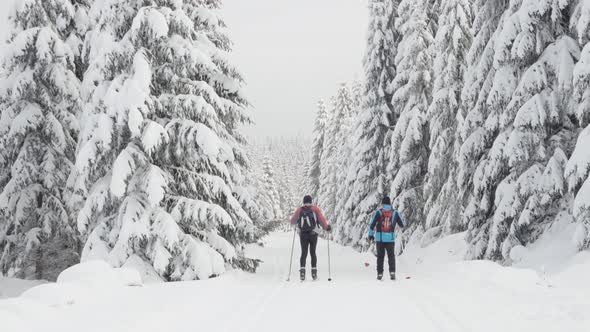 Two Crosscountry Skiers Ski Down a Trail in a Snowcovered Winter Landscape with Trees  Rear View