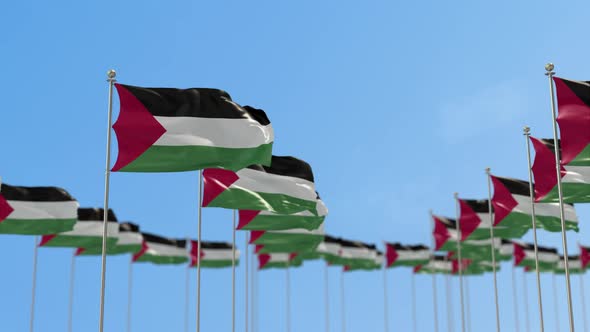 Palestine Row Of Flags Animation