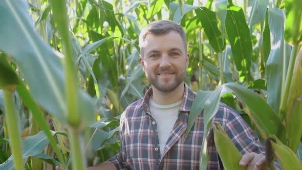 A Farmer or Agronomist in a Corn Field Stands in the Middle of Corn Sprouts and Smiles at the Camera