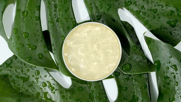 Yellow Cosmetic Cream with Rotation on Background of Tropical Leaves Monstera