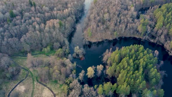 Aerial View of the River Between the Pines