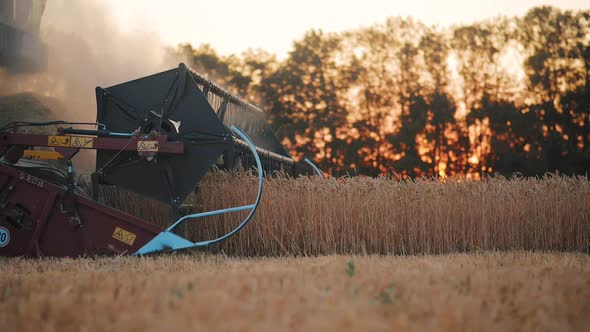 Wheat Harvest