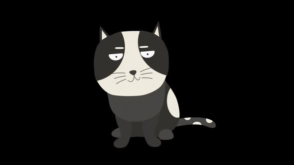 Angry Cartoon Black White Cat