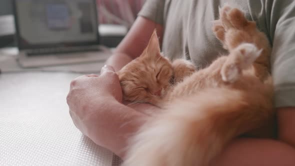 Man Cuddles Cute Ginger Cat