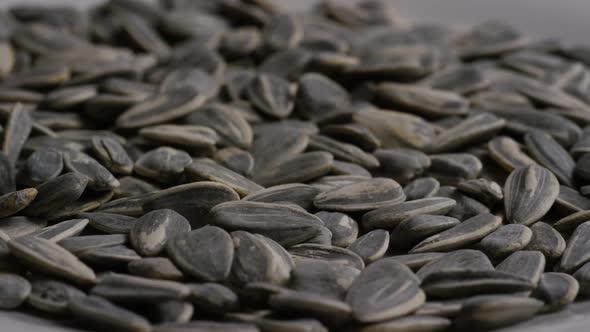 Cinematic, rotating shot of sunflower seeds on a white surface - SUNFLOWER SEEDS 019