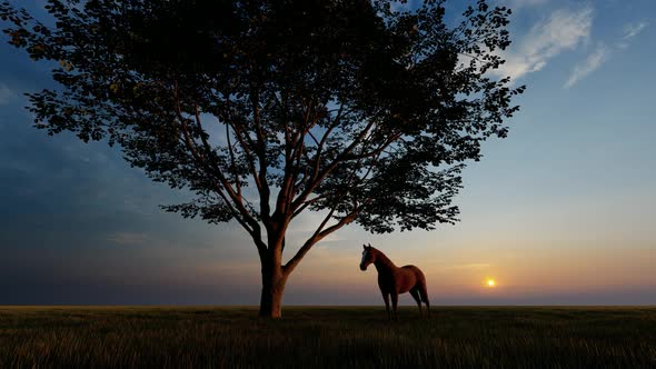 Horse Standing Under Sunrise and Tree