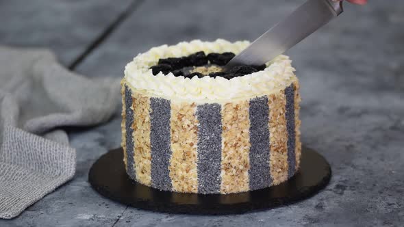 Woman Cutting a Delicious Cake with Prunes Nuts and Poppy Seeds