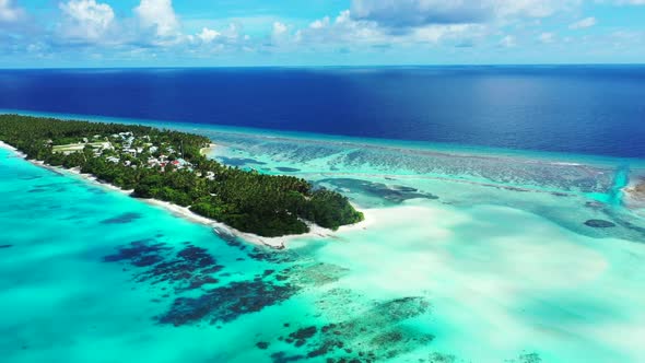 Aerial drone shot nature of paradise coast beach wildlife by blue lagoon with bright sandy backgroun